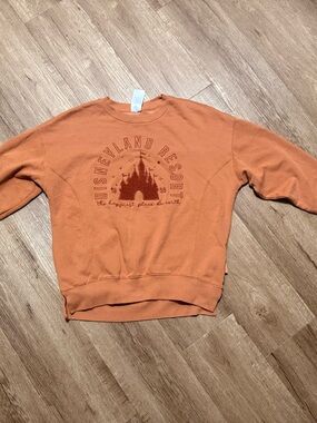 Disneyland Resort Shirt Womens Small Brown Embroidered Castle Crewneck Top